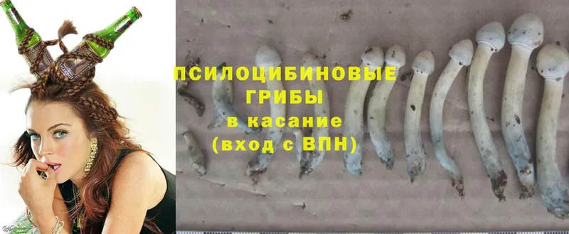 Галлюциногенные грибы Psilocybine cubensis  даркнет как зайти  Краснотурьинск  наркошоп 